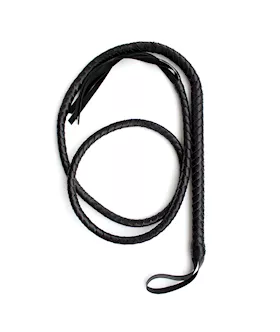 Long Snake Whip