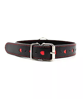 Full Control Collar And Leash