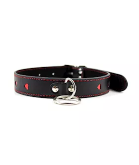 Full Control Collar And Leash