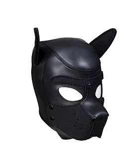 Mans Best Friend Puppy Hood