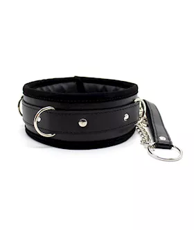 Soft Padded Collar And Leash