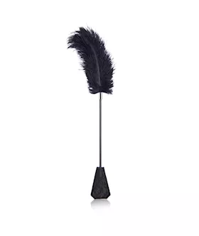 Ostrich Feather and Lace Paddle