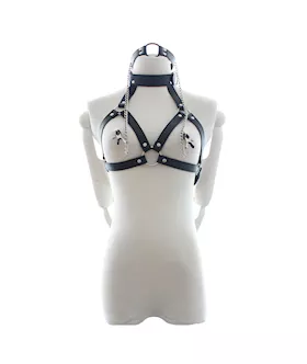 Ultimate Satisfaction Harness
