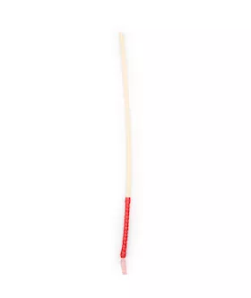 Sturdy Discipline Cane