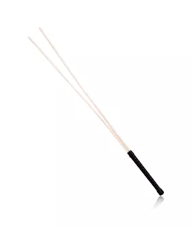 Dual Disciple Cane