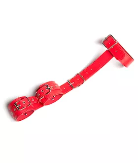 Heavy Duty PVC Collar with Wrist Cuffs