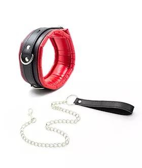 Soft Padded Collar and Leash