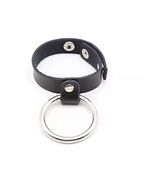 Metal Cock Ring and Ball Divider