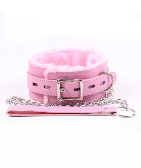 Premium Collar With Leash