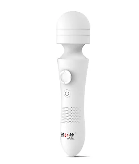 Drywell Wand Vibrator 
