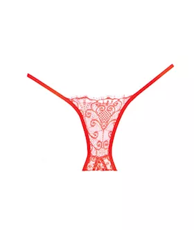 Enchanted Belle Crotchless Panty
