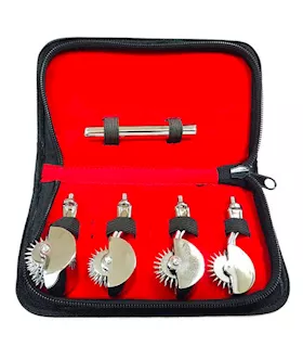 Rouge Quad Pinwheel Set