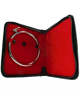 Rouge Stainless Steel Bondage Collar