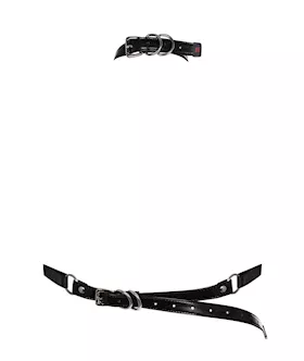 Obsessive A755 - Harness 