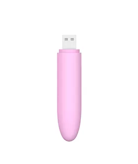 Kitty Bullet Vibrator