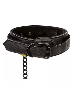Boundless Collar And Leash