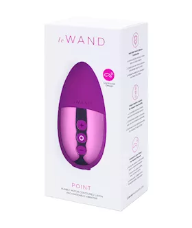 Le Wand Chrome Point 