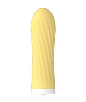 Point Pleasure Bullet Vibrator