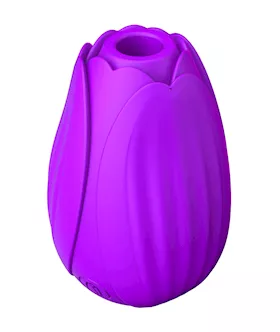 Tulip by Share Satisfaction