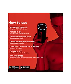 Lelo F1s V2a