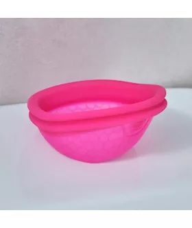 Imtimina Ziggy Cup 2 - B