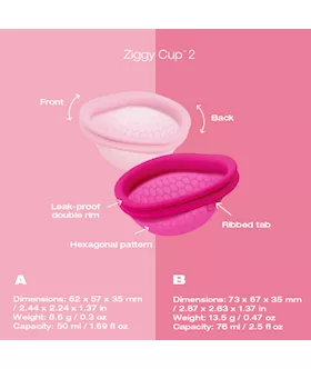 Imtimina Ziggy Cup 2 - B