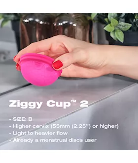 Imtimina Ziggy Cup 2 - B