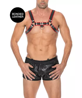 Chest Bulldog Harness