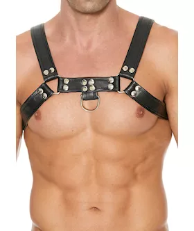 Chest Bulldog Harness