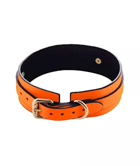 Luminated Glow in the Dark Collar