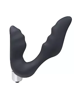 Amore Ridged Anal Massager