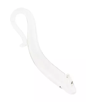 Lucent Seahorse Glass Massager