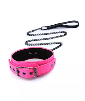 Electra Collar & Leash