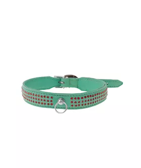 Bound X Green Collar With Red Rhinestones