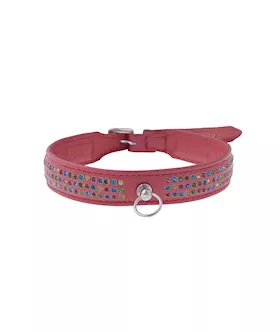 Bound X Pink Collar With Rainbow Rhinestone