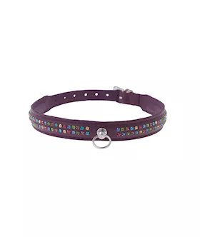 Bound X Purple Collar With Rainbow Rhinestones  Two Rows