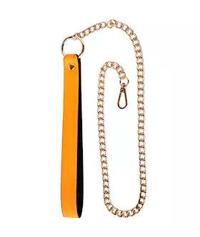 Luminated  Leash with Chain