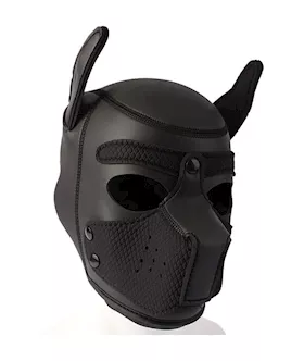 Obedience Training BDSM Pup Mask