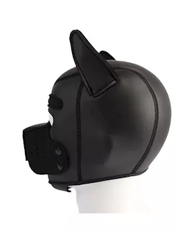 Obedience Training Bdsm Pup Mask