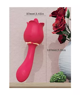 Amore Rose Pro Stem