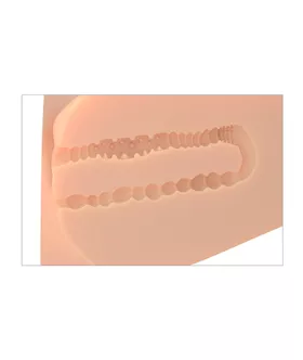 Pdx Plus Ez Bang Torso Masturbator