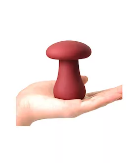 Flat Top Mushroom Vibe