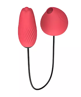 Play Divergent Dual Vibrator