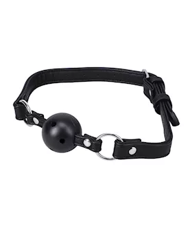 Ball Gag In A Bag Black