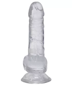 Dick In A Bag 6 Inch Clear