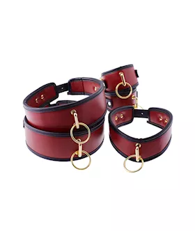 Premium Full Restraint Set