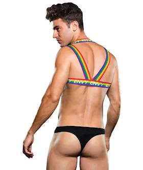 Envy Rainbow Harness Lxl Bx