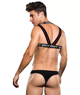 Envy Logo Harness Black/white Lxl Bx