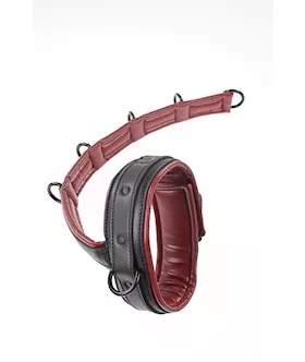 Saffron Neck And Wrist Restraint