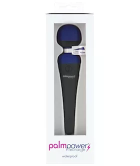 Palm Power Rechargeable Blue
